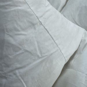 Feather Inners 55cm x 55cm