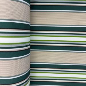 Evergreen Stripes