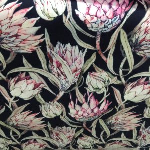 Protea Velvet