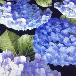Blue Hydrangeas 100% Cotton
