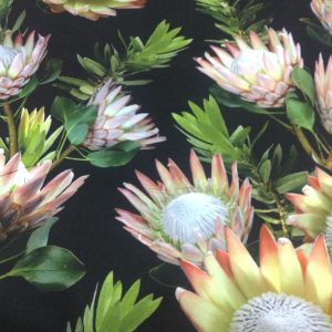 Black Protea 100% Cotton