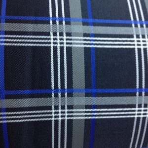 Black and Blue Check