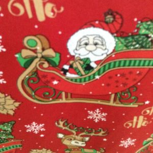 Red Santa on Sleigh Mini Matt