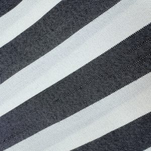 Black Stripe