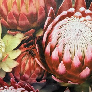 Protea Cluster Vinyl