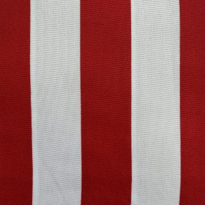 Mini Matt - Stripes Red