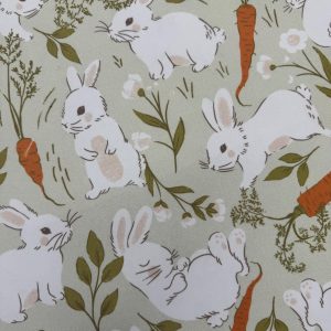 Bunny and Carrot