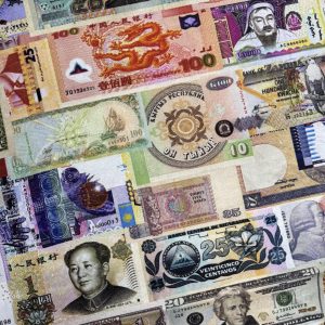 Currency 100% Cotton